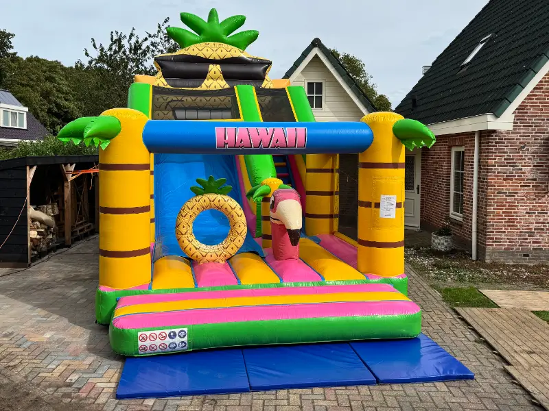 Springkussen Hawaii 2